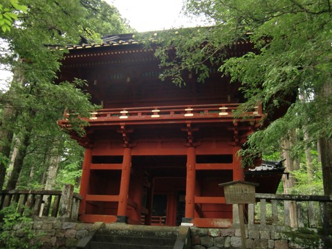 20120610_090456_CIMG0959