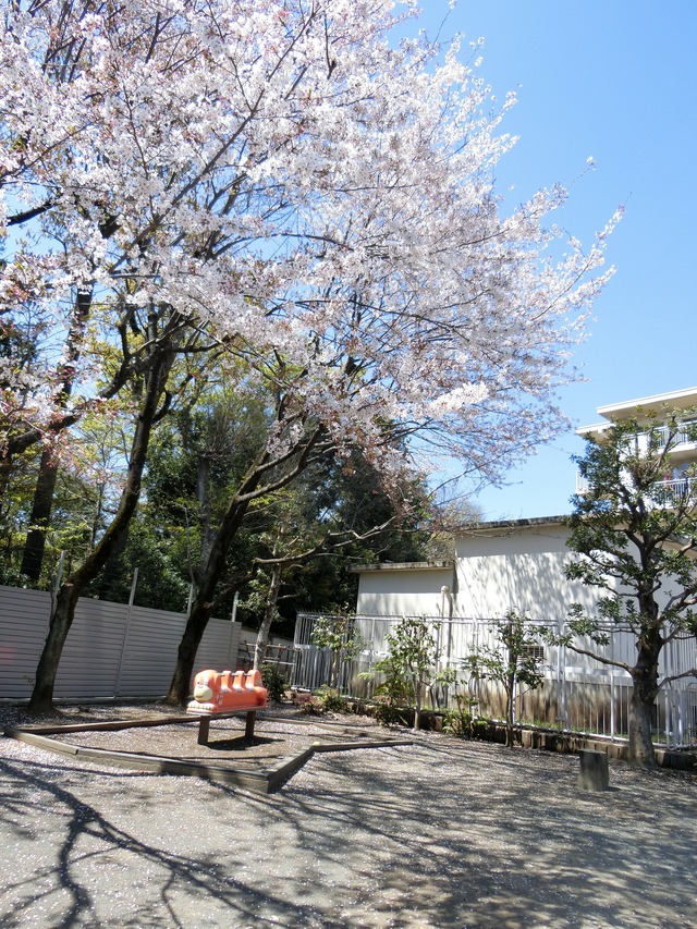 20190413_123334_CIMG8248