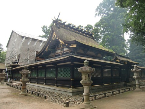 20120722_104016_CIMG1049