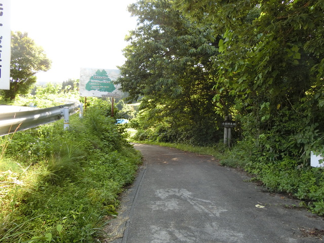 20190713_153935_CIMG2924