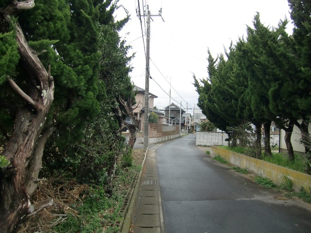 20170326_135925_CIMG7350