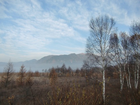 20151024_063327_CIMG5330