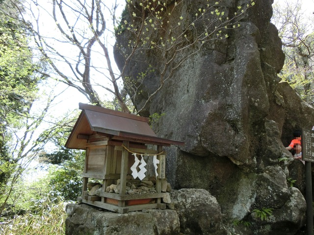 CIMG0090 (1)
