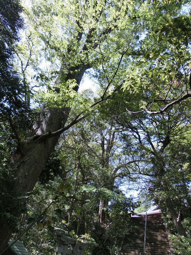 20180421_132342_CIMG9004