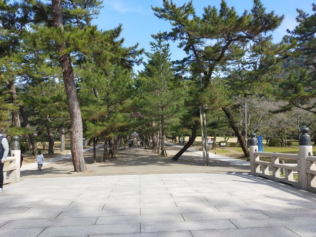IMG20210311095709