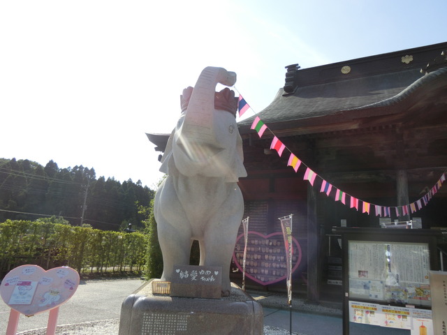 20180609_154102_CIMG0398