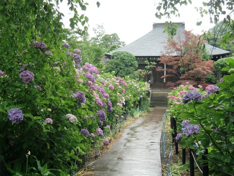 20130616_102941_CIMG1776