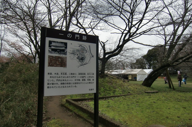 20170401_140835_CIMG7573