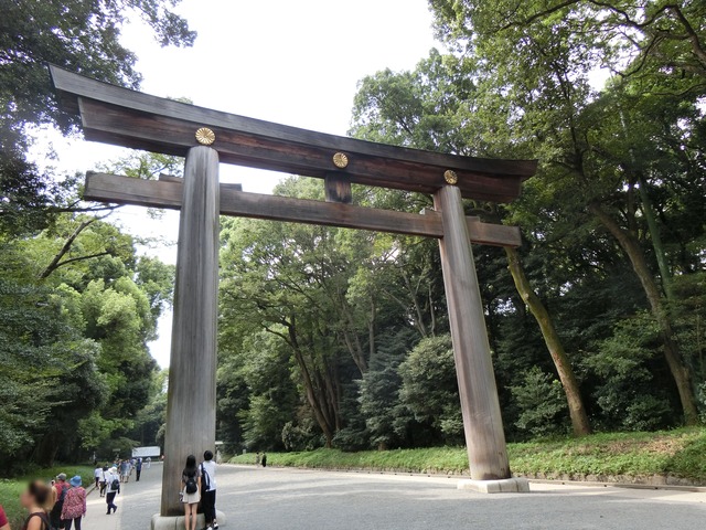 20190903_123904_CIMG5065