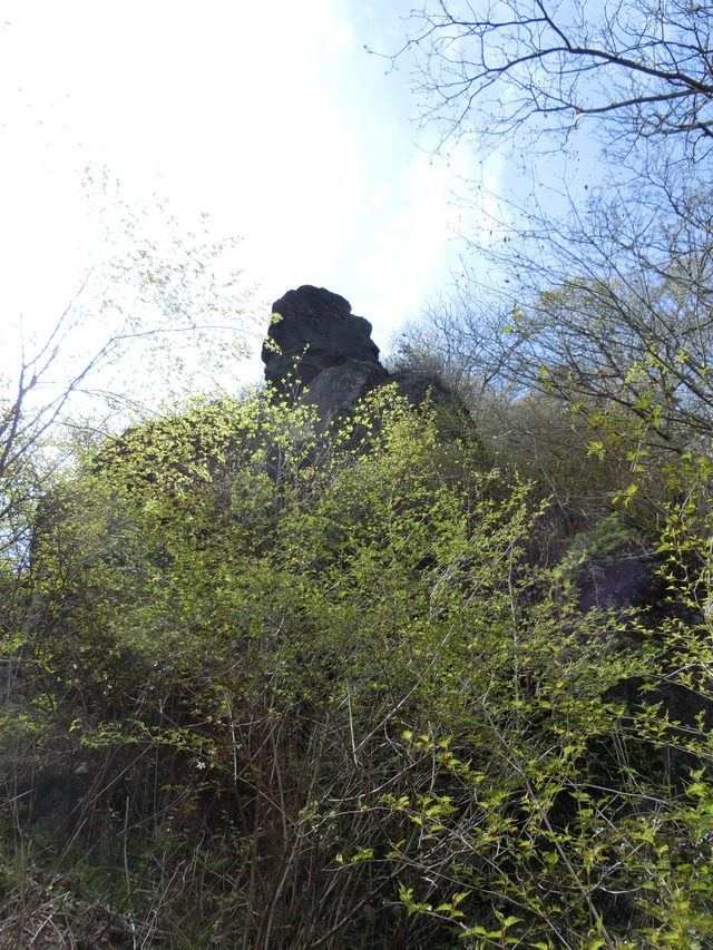 CIMG0079 (1)