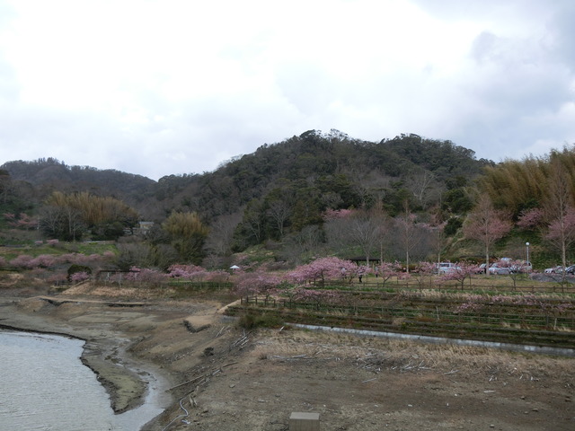 20200222_151510_CIMG8754