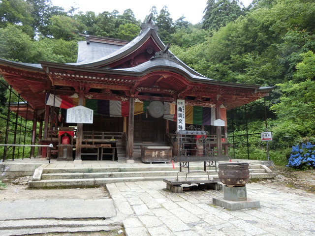 20190711_154317_CIMG2278