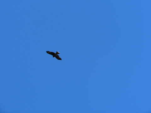 CIMG7672