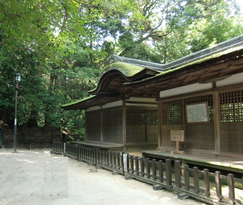 20110803_095503_CIMG0657