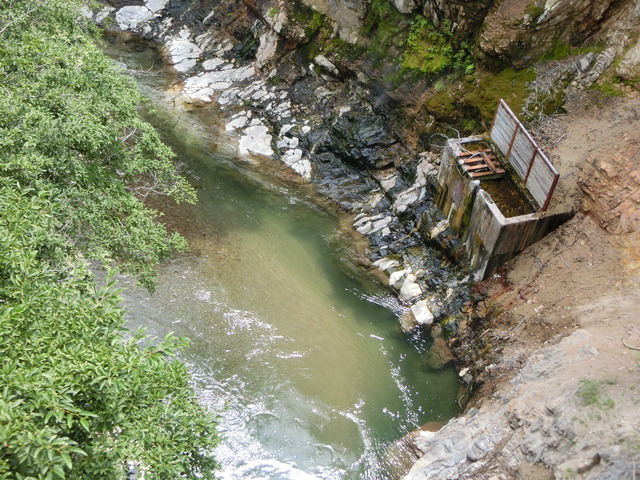 20190811_114950_CIMG4872