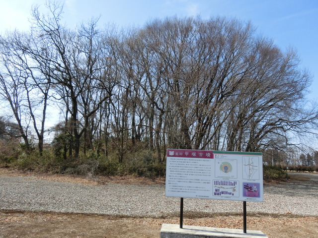 20190224_113536_CIMG7024