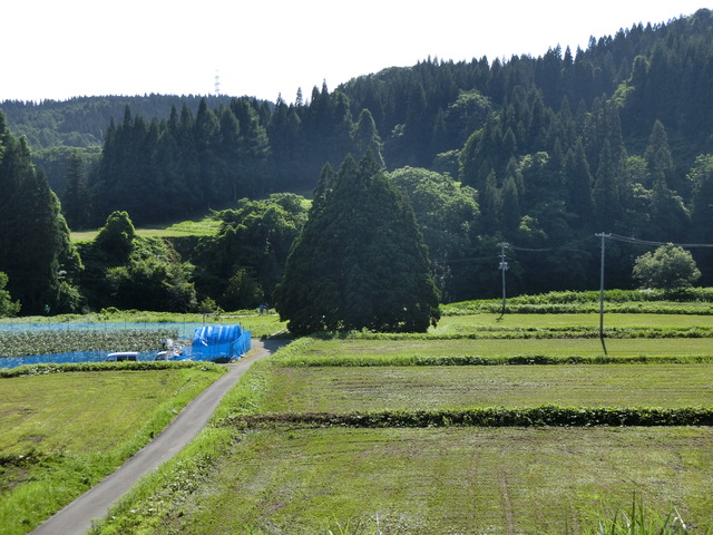 20190713_153848_CIMG2922