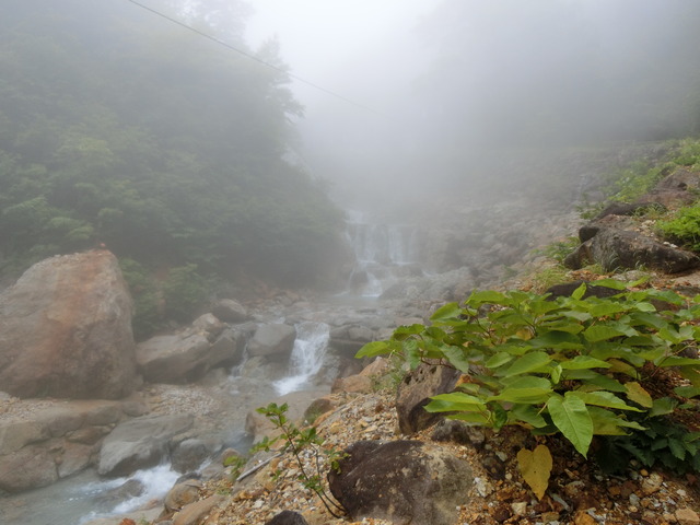 20190711_115038_CIMG2159