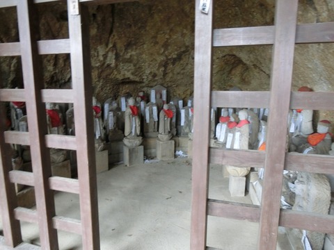 CIMG3134