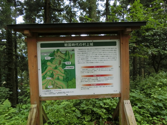 20190712_133259_CIMG2563