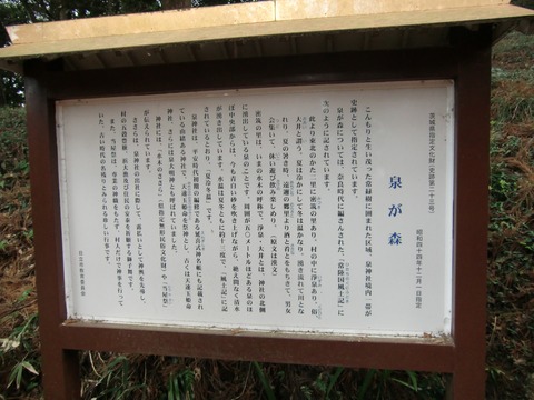 20130331_090114_CIMG1503