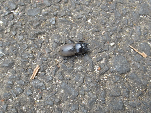 20210612110644_IMG_5904