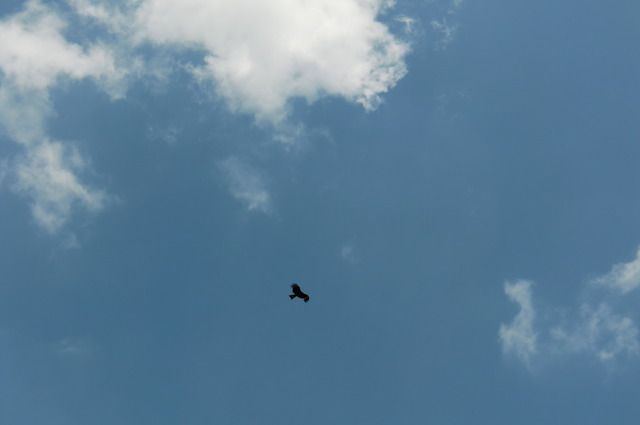 20170528_132346_CIMG0135