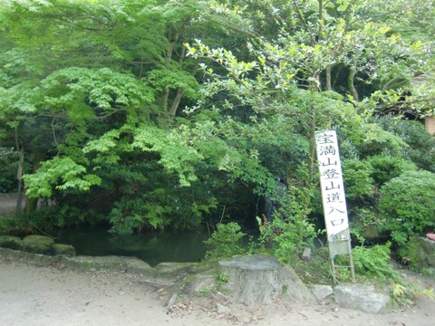 20150601_074558_CIMG4777