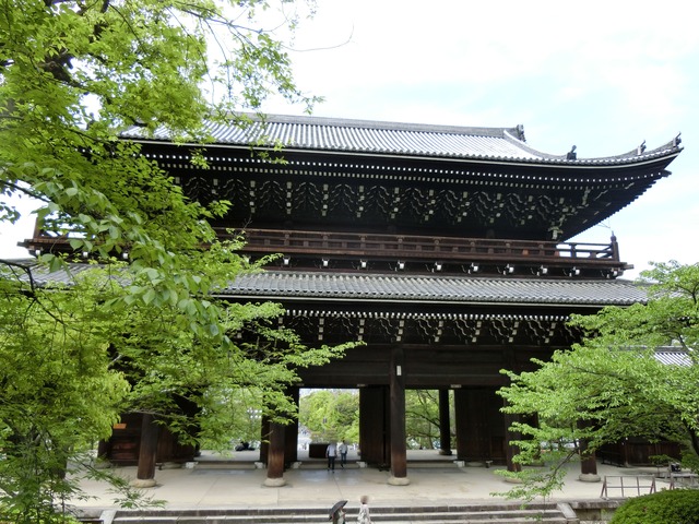 20190503_113210_CIMG0889