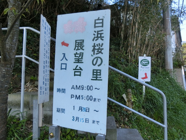 20190302_082958_CIMG7226