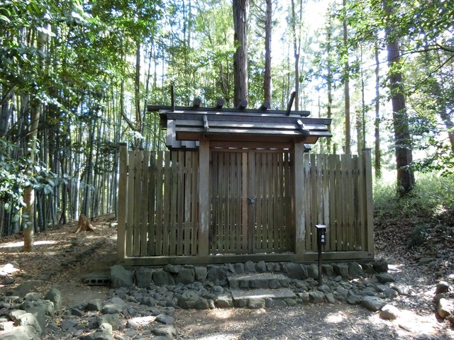 CIMG0185 (1)
