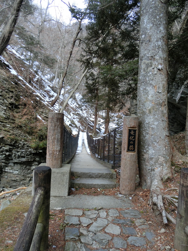 20180225_100207_CIMG8316