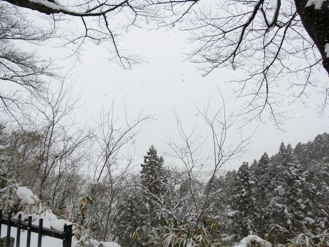 20180103_121807_CIMG7413