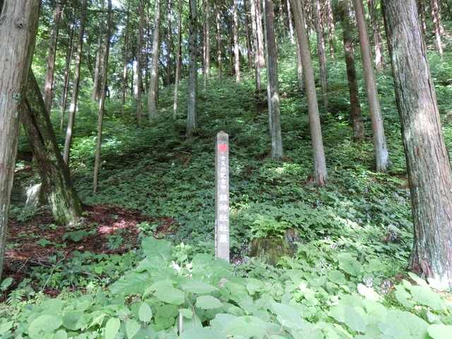 20180624_080658_CIMG0924