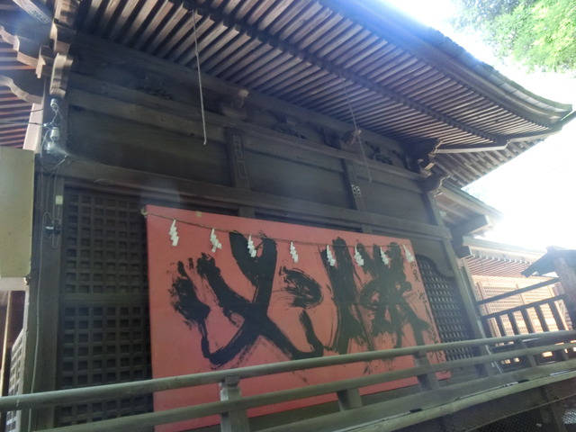20180625_113803_CIMG1129