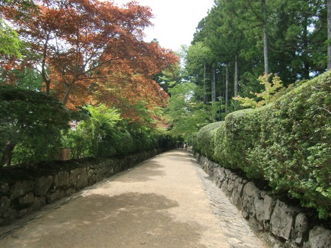 20130720_143438_CIMG1880