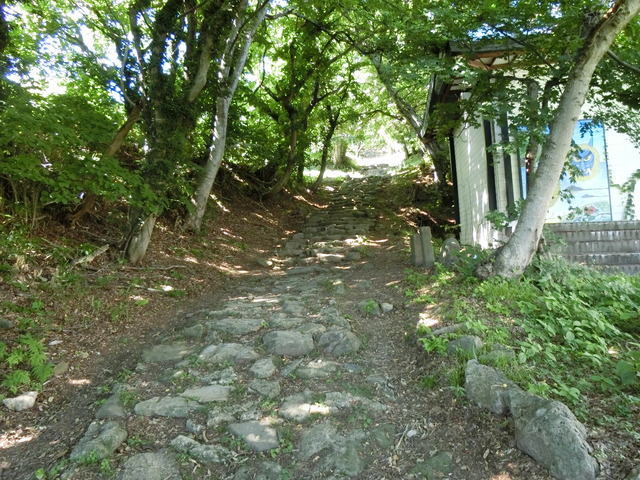 20190715_143053_CIMG3544