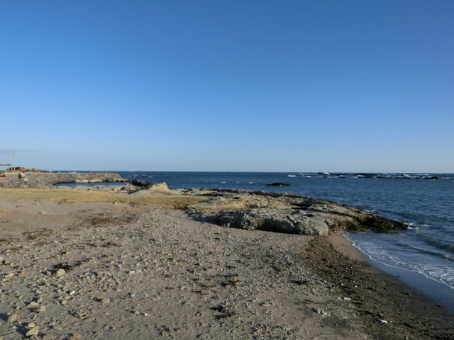 20200223_163034_CIMG9092