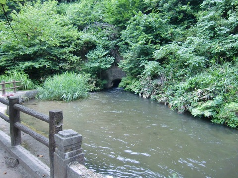 20100809_080422_CIMG0441