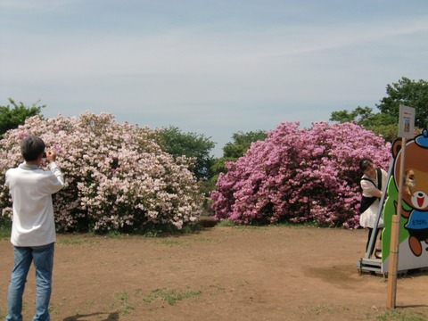 20110515_124500_CIMG0571