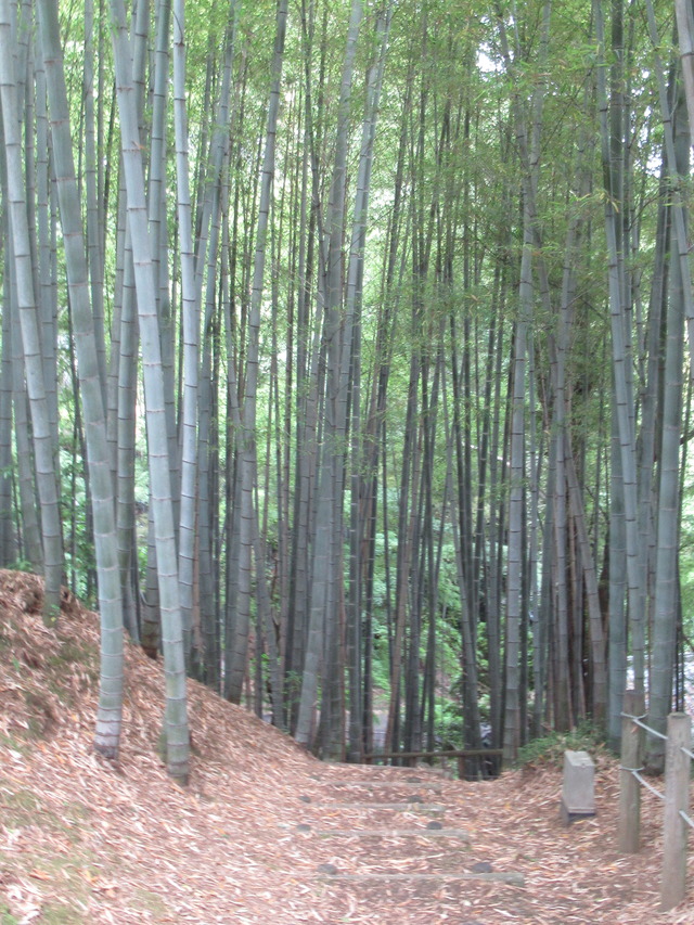 20210612100001_IMG_5879 (1)