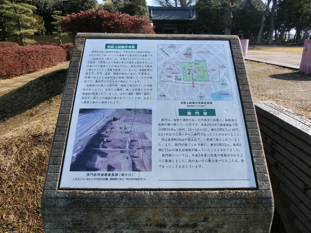 20190202_101249_CIMG6079
