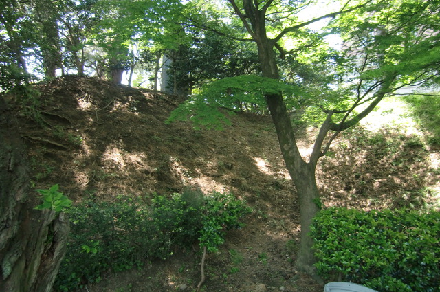 20170520_102717_CIMG9640
