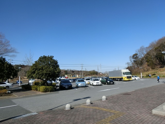 20190202_105258_CIMG6115