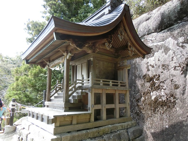 CIMG0110 (1)