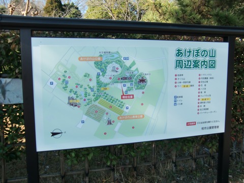20160110_104648_CIMG5869