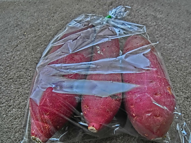20200429_110710_CIMG9369
