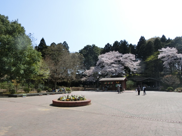 20180401_131657_CIMG8777