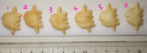 IMGP6230 - コピー