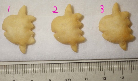 IMGP6107 - コピー